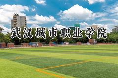 武汉城市职业学院2024在青海录取分数线是多少？最低310分/最高334分