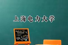 上海电力大学2024在山东录取分数线是多少？最低574分/最高603分