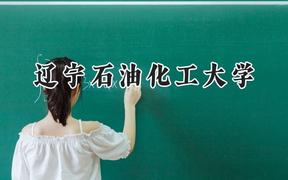 辽宁石油化工大学2024在山东录取分数线是多少？最低484分/最高547分
