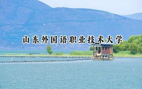 山东外国语职业技术大学2024在福建录取分数线是多少？最低416分/最高466分