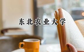 东北农业大学2024在青海录取分数线是多少？最低416分/最高486分