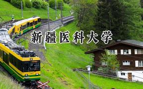 新疆医科大学2024在新疆录取分数线是多少？最低427分/最高526分