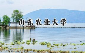 山东农业大学2024在青海录取分数线是多少？最低379分/最高440分