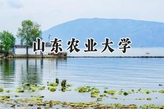 山东农业大学2024在青海录取分数线是多少？最低379分/最高440分