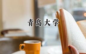 青岛大学2024在青海录取分数线是多少？最低397分/最高499分