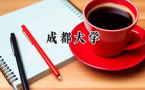 成都大学2024在福建录取分数线是多少？最低549分/最高589分