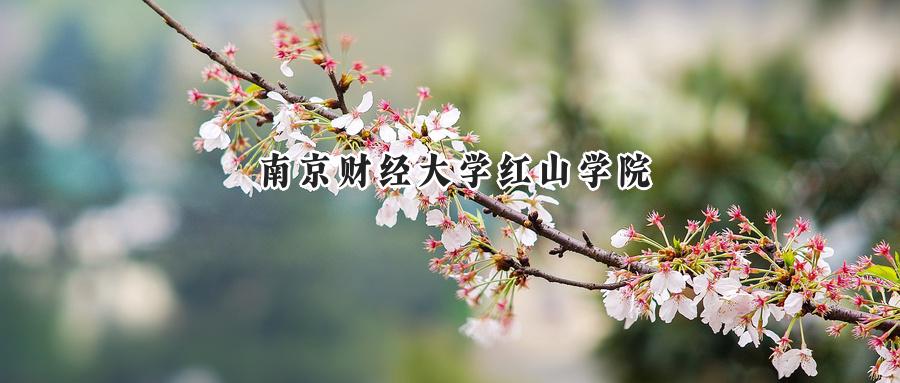南京财经大学红山学院