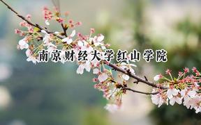 南京财经大学红山学院2024在福建录取分数线是多少？最低451分/最高507分