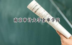 南京审计大学金审学院2024在青海录取分数线是多少？最低353分/最高423分