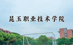 昆玉职业技术学院2024在青海录取分数线是多少？最低290分/最高364分