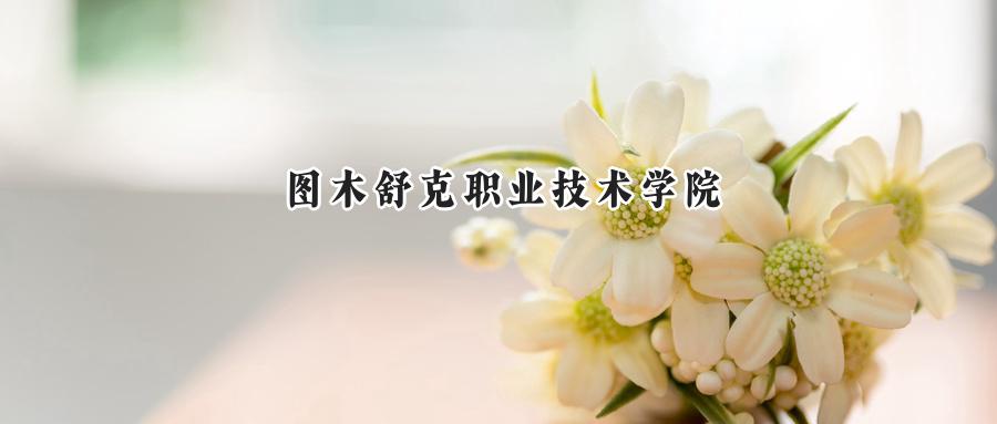 图木舒克职业技术学院
