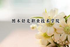 图木舒克职业技术学院2024在山东录取分数线是多少？最低284分/最高304分