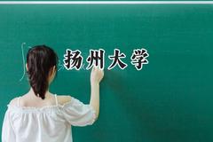 扬州大学2024在新疆录取分数线是多少？最低416分/最高501分