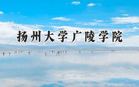 扬州大学广陵学院2024在山东录取分数线是多少？最低465分/最高497分