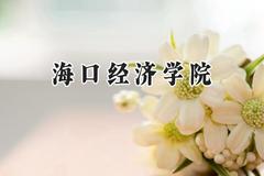 海口经济学院2024在青海录取分数线是多少？最低138分/最高384分