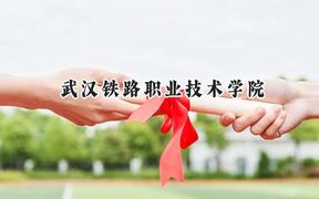 武漢鐵路職業(yè)技術(shù)學(xué)院2024在青海錄取分?jǐn)?shù)線是多少？最低319分/最高423分
