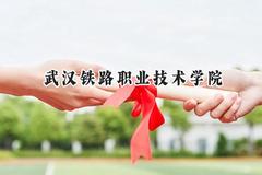 武汉铁路职业技术学院2024在青海录取分数线是多少？最低319分/最高423分