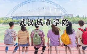 武汉城市学院2024在青海录取分数线是多少？最低331分/最高403分