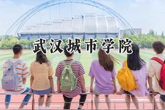 武汉城市学院2024在青海录取分数线是多少？最低331分/最高403分