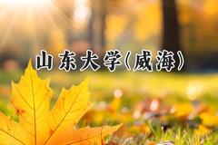 山东大学(威海)2024在福建录取分数线是多少？最低600分/最高640分