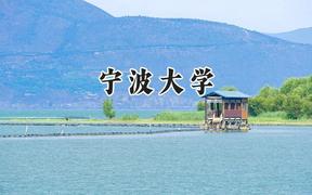 宁波大学2024在新疆录取分数线是多少？最低471分/最高509分