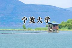 宁波大学2024在新疆录取分数线是多少？最低471分/最高509分