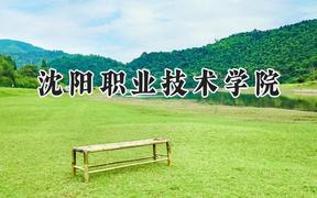 沈阳职业技术学院2024在青海录取分数线是多少？最低245分/最高263分
