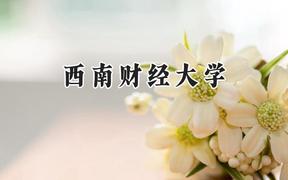 西南财经大学2024在新疆录取分数线是多少？最低506分/最高558分