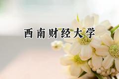 西南财经大学2024在新疆录取分数线是多少？最低506分/最高558分
