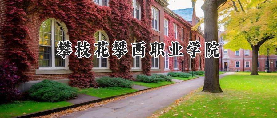 攀枝花攀西职业学院2024在山东录取分数线是多少？最低251分/最高317分-第1张图片-索考网