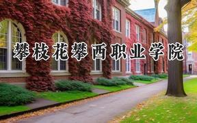 攀枝花攀西職業(yè)學(xué)院2024在山東錄取分?jǐn)?shù)線是多少？最低251分/最高317分
