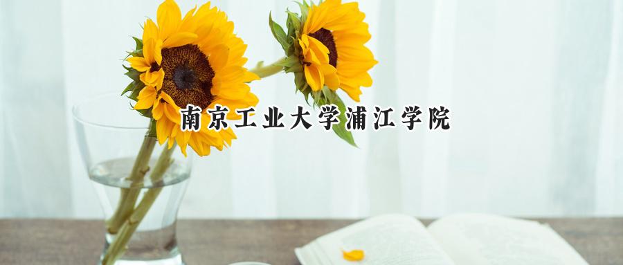 南京工业大学浦江学院