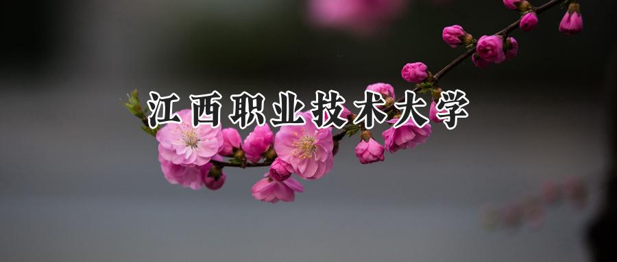 江西职业技术大学