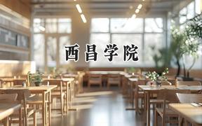 西昌学院2024在福建录取分数线是多少？最低466分/最高519分