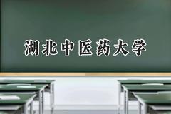 湖北中医药大学2024在青海录取分数线是多少？最低374分/最高469分