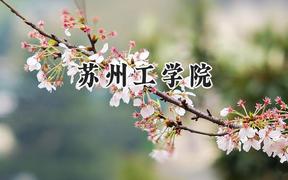 苏州工学院2024在山东录取分数线是多少？最低484分/最高538分