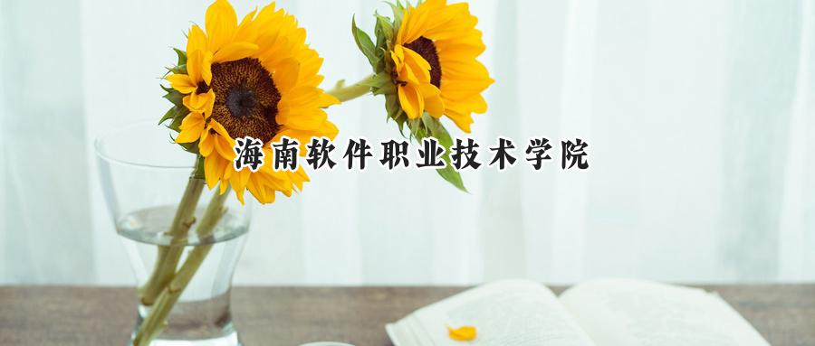 海南软件职业技术学院