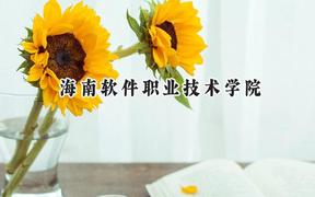 海南软件职业技术学院2024在山东录取分数线是多少？最低366分/最高420分
