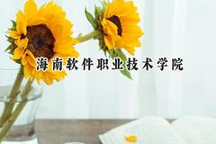 海南软件职业技术学院2024在山东录取分数线是多少？最低366分/最高420分