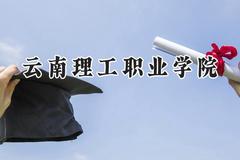 云南理工职业学院2024在青海录取分数线是多少？最低203分/最高259分