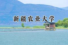 新疆农业大学2024在山东录取分数线是多少？最低458分/最高526分