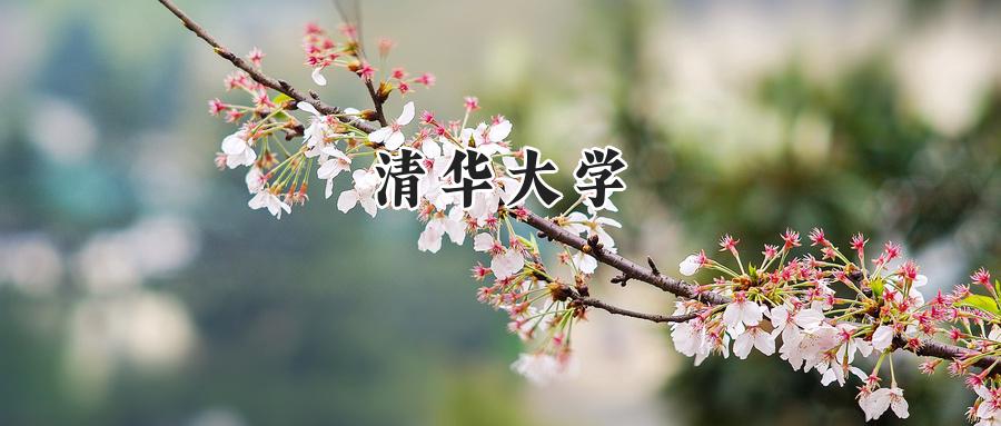 清华大学