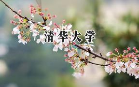 清華大學(xué)2024在新疆錄取分數(shù)線是多少？最低623分/最高673分