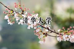 清华大学2024在新疆录取分数线是多少？最低623分/最高673分
