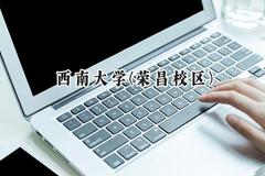西南大学(荣昌校区)2024在新疆录取分数线是多少？最低449分/最高493分