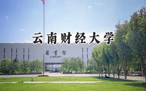 云南财经大学2024在福建录取分数线是多少？最低496分/最高559分
