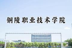 铜陵职业技术学院2024在山东录取分数线是多少？最低386分/最高445分