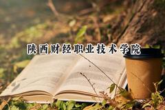 陕西财经职业技术学院2024在山东录取分数线是多少？最低399分/最高465分