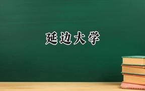 延边大学2024在福建录取分数线是多少？最低550分/最高596分
