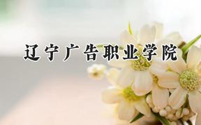辽宁广告职业学院2024在青海录取分数线是多少？最低202分/最高241分